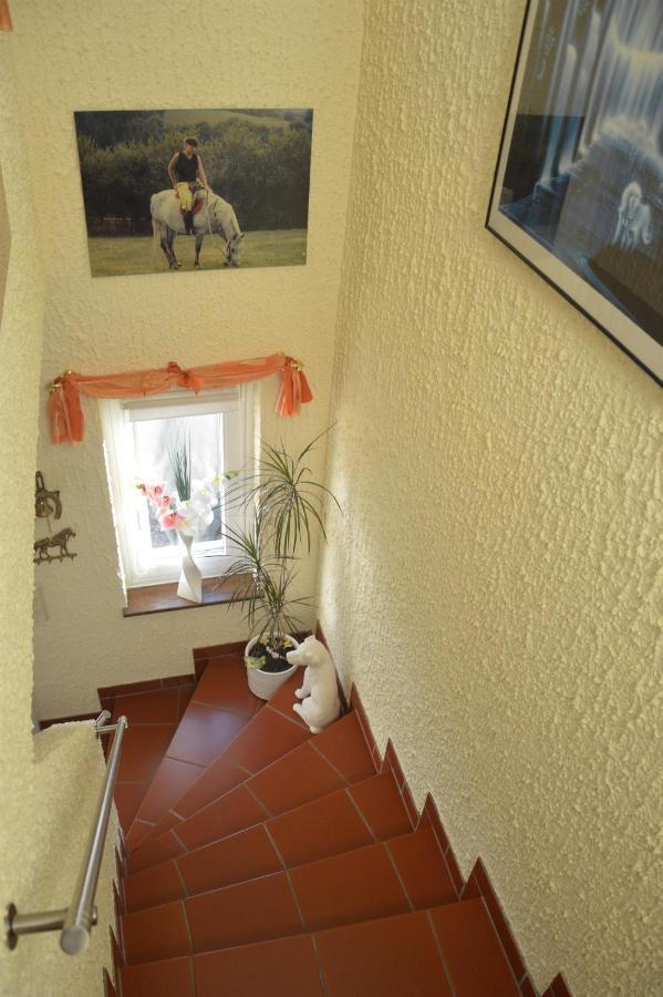 Ferienwohnung Auszeit Waxweiler Exterior foto